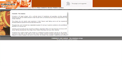 Desktop Screenshot of furmanite.ae
